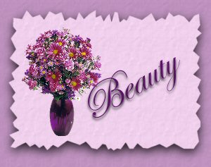Beauty Banner