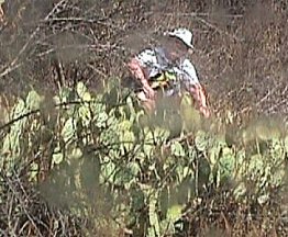 JoN lured into a cactus trap