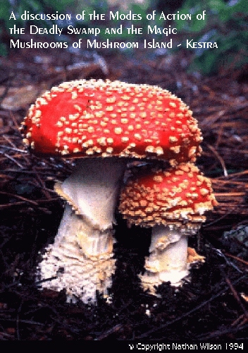 A discussion of the Deadly Swamp and Magic Mushrooms