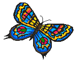 butterfly.gif (4196 bytes)