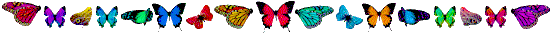 butterflyline2.gif (7361 bytes)