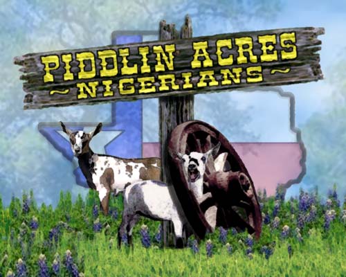 Image of Piddlin Acres logo