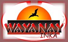 Wayanay Inka - Wonderful Andean Music