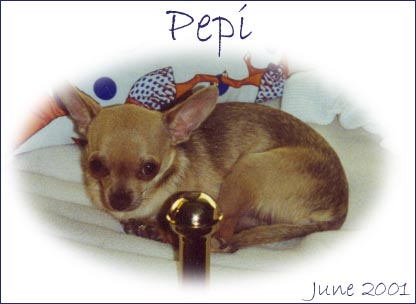 Pepi 2001