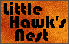 Little Hawk's Nest