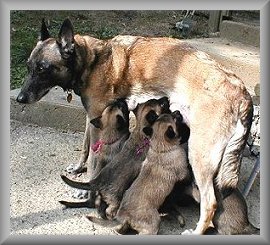 Tara and her kids