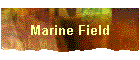 Marine Field