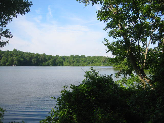 Killen's Pond Trail