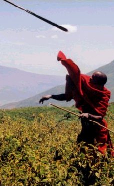 Masai hunting