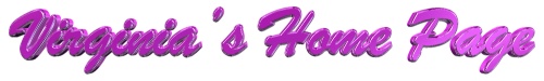 Logo-Virginia's Home Page