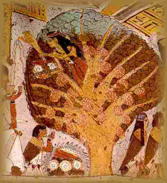 Egyptian herbal tree of life