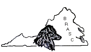 BRASC logo 