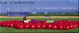 The Cranberries Intermission - Winamp Skin 5