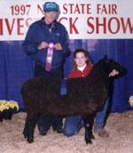 Champion Natural Colored Ewe - North Carolina State Fair 1997