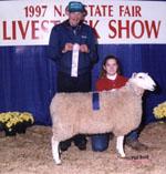 Champion White Wool Ram - North Carolina State Fair 1997