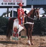 Champion Parade Horse - Virginia State Fair 1999