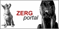 ZERGportal.de - Die Webdatenbanken fr Hundefreunde