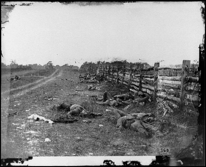 Confederate Dead along Millers Corn Field and the Hagerstown Road