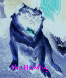The howling!