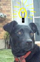 Rory ponders life's biggest secrets