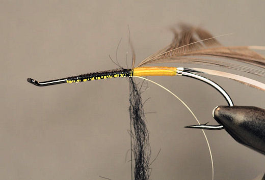 Spin some black dubbing on the thread for the front part of the body, rap it foreword.  Leave enough room for the throat and head of the fly.  When dressing this part of the body, take care to dress it as sparse as possible.  If the body is dressed to heavy it will make the wing stick up and ruin the sleek look of the fly. 