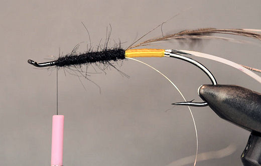 Spin some black dubbing on the thread for the front part of the body, rap it foreword.  Leave enough room for the throat and head of the fly.  When dressing this part of the body, take care to dress it as sparse as possible.  If the body is dressed to heavy it will make the wing stick up and ruin the sleek look of the fly.