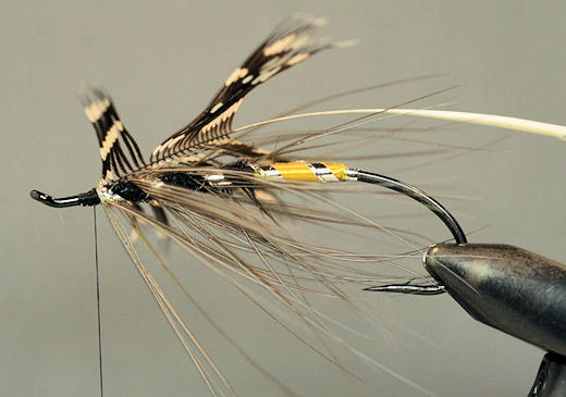 Select a Gallina feather for the throat and tie it in by the tip the same way you did with the body hackle.