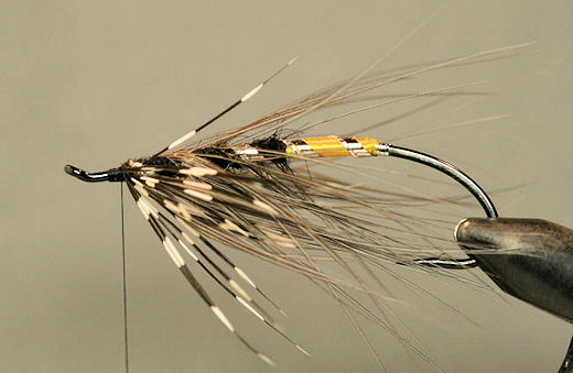Wrap the hackle, tie it off and trim the excess.