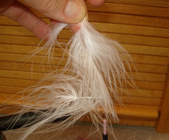 Wrap marabou plume forward in 4 to 6 wraps. Do not tie full. Stem will over wrap but rest between wraps of tinsel. (Should give a sparce, willowy effect). Tie in 2nd marabou plume, tip first @ 3/4 up shank. Tie in full, spey style. Build to what will be the head. The second feather becomes the shoulders of the fly.