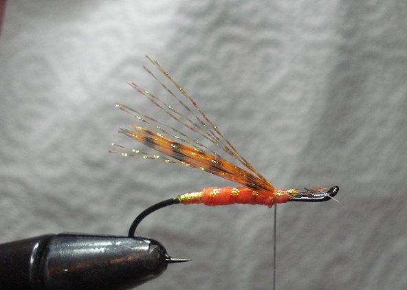 Tie in 12 strands orange Krystal Flash for wing tent wing style over hackle tips.