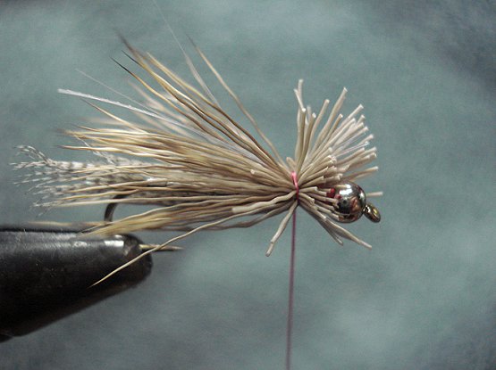Tie and spin a medium chump of dark deer hair at shoulder. Tips should be shank length. Don’t worry that you might have over dressed the fly.
