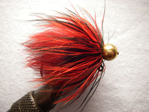 Black and Red Bead Head