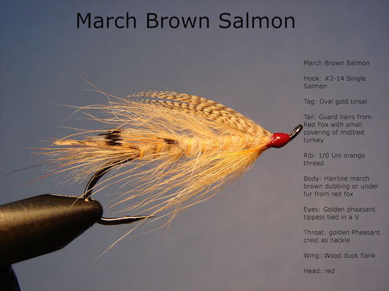 March Brown Salmon