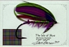 Isle of Skye - This beautifully fly was tied by Master Tyer, Dr. David Burns for a TU Earth day auction.