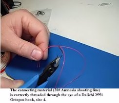The connecting material (20lb. Amnesia shooting line) is correctly threaded through the eye of a Daiichi 2551 Octopus hook, size 4.