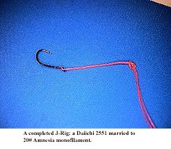 A completed J-Rig: a Daiichi 2551 married to 20# Amnesia monofilament.