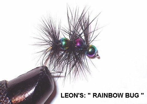 Leon's Rainbow Bug