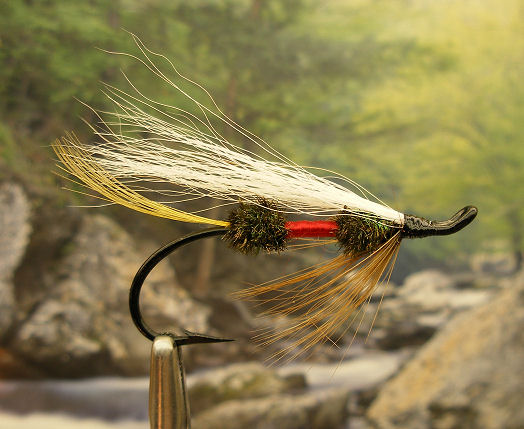 Bucktail Royal Coachman