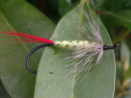 Gray Hackle Yellow