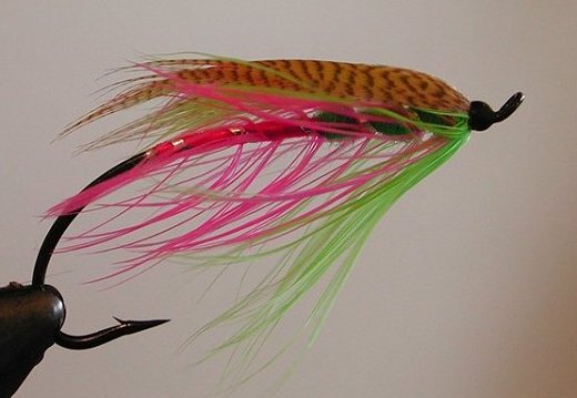 Punch Spey, A Jack Cook Fly></P>

<P ALIGN=