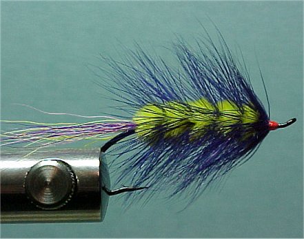 Sauk River Shrimp/Grub, A Scott Howell Fly