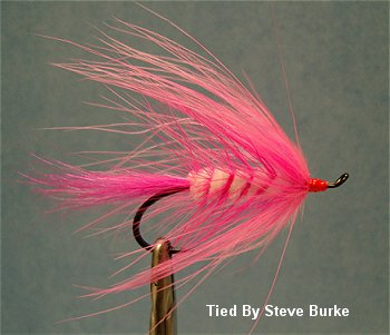 Woolie Shrimp, Pink