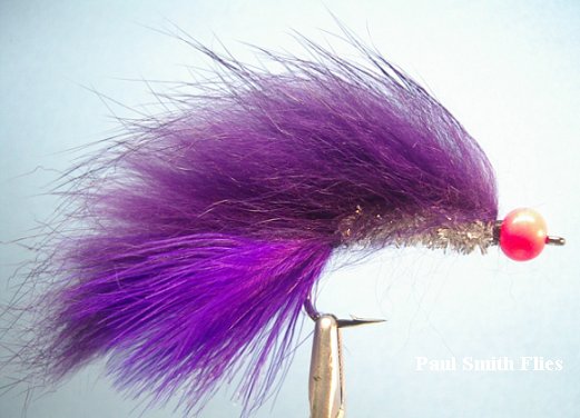 River Coho Killer, Purple