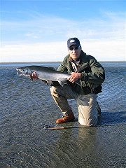 Jeffrey Wimer displays a beautiful Silver he caught off of the beach on the mouth of the Italio, Alaska. This one was taken on a black marabou pattern with just a bit of green flash and a Claret Schlappen hackle.