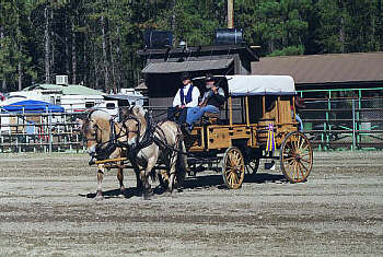 Dennis Johnson's horses & Ron Dayton's wagon