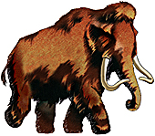 [ Columbian Mammoth ]