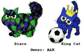 Disco & King Cat