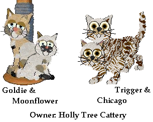 Holly Tree Cattery