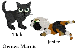 Tick & Jester