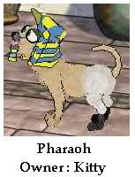 The Pharaoh